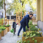 Ogród warzywny w Ognisku Grochów