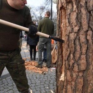 zdjęcie mężczyzny wykonującego obróbkę drewna