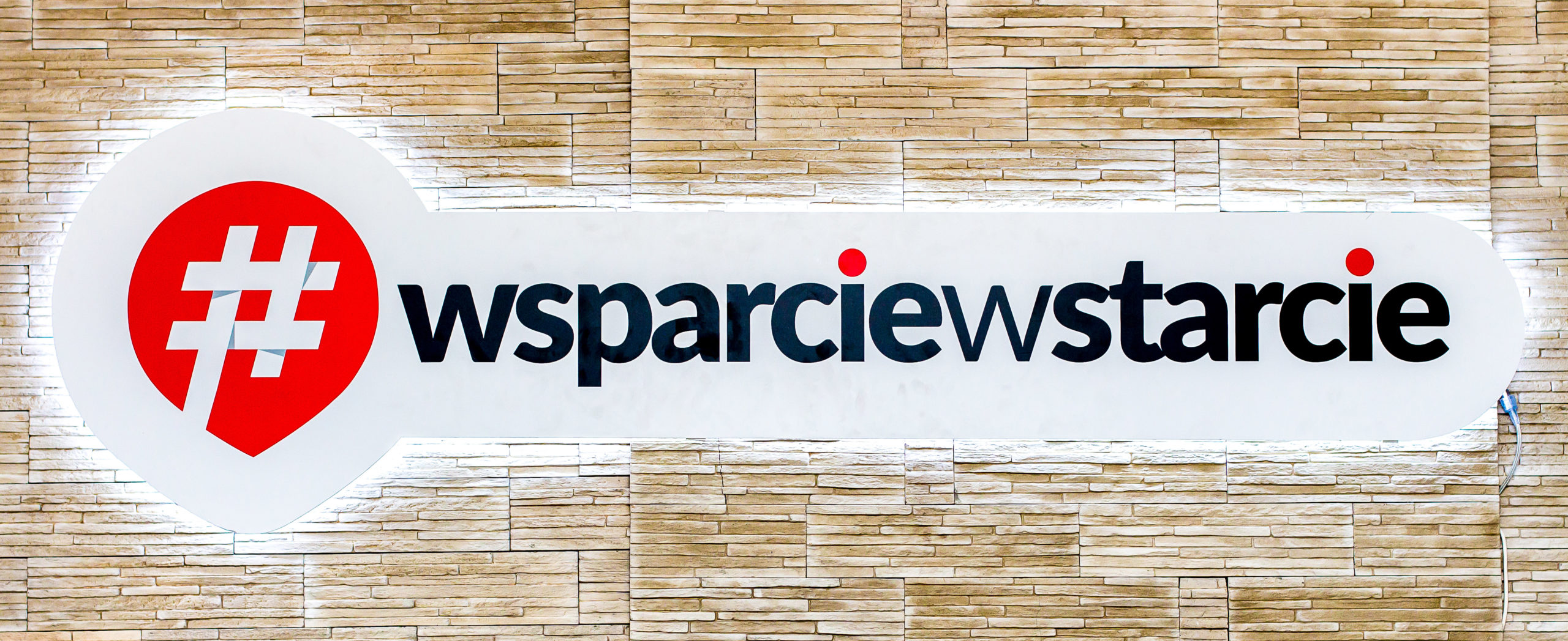 Wsparcie w&nbsp;starcie logo
