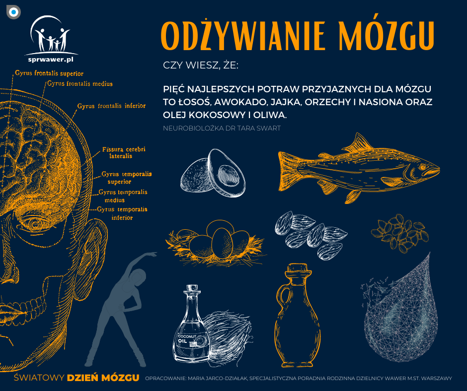 Grafika z tekstem "Odżywianie mózgu"
