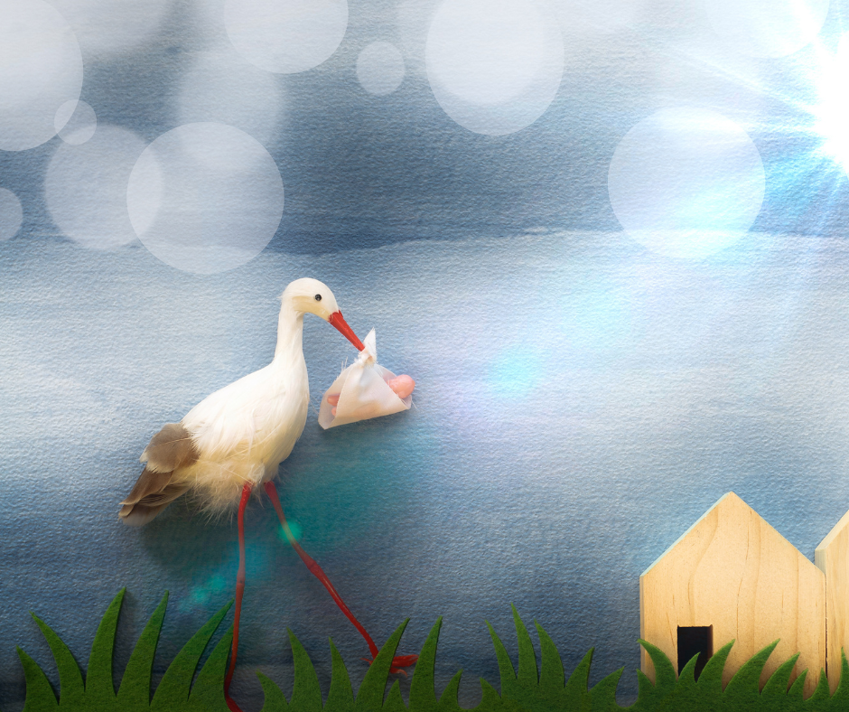 grafika, bocian niosący noworodka do drewnianego domu