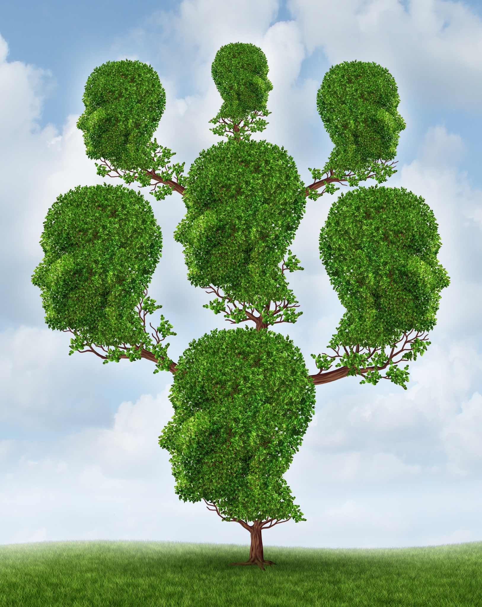 drzewo genealogiczne