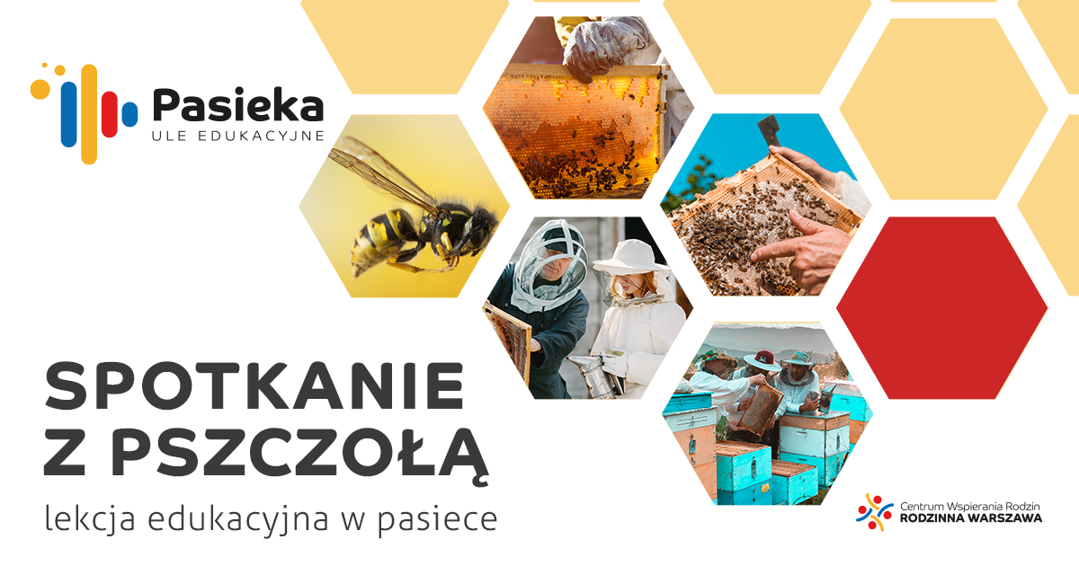 Baner z&nbsp;grafiką w&nbsp;kształcie plastrów miodu i&nbsp;napisem Spotkanie z&nbsp;pszczołą, lekcja edukacyjna w&nbsp;pasiece